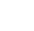 wheelchair icon