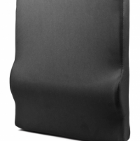 lumbar thumbnail lumbar thumbnail